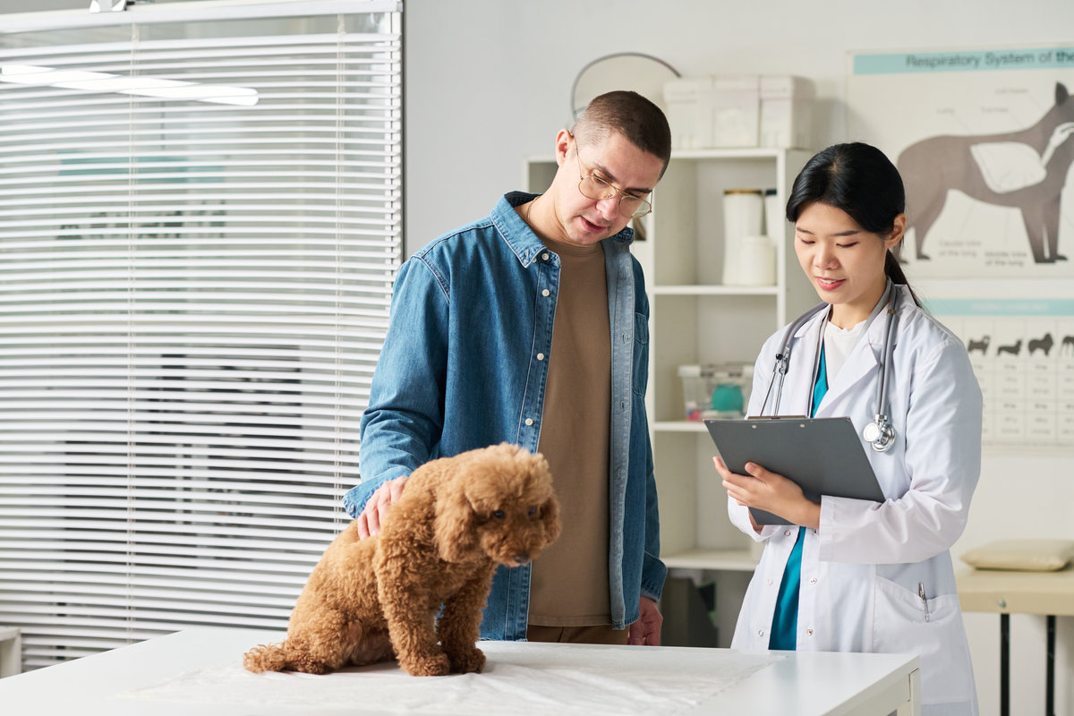 Young Asian female vet in lab coat taking notes in medical document while consulting dog owner after examining