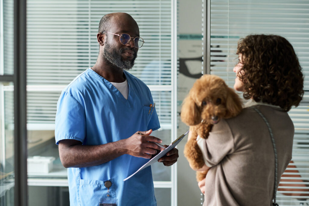 Medium shot of Black male veterinarian consulting female pet owner, holding clipboard while examining poodle in clinic. Ideal for veterinary care, pet health, animal service marketing