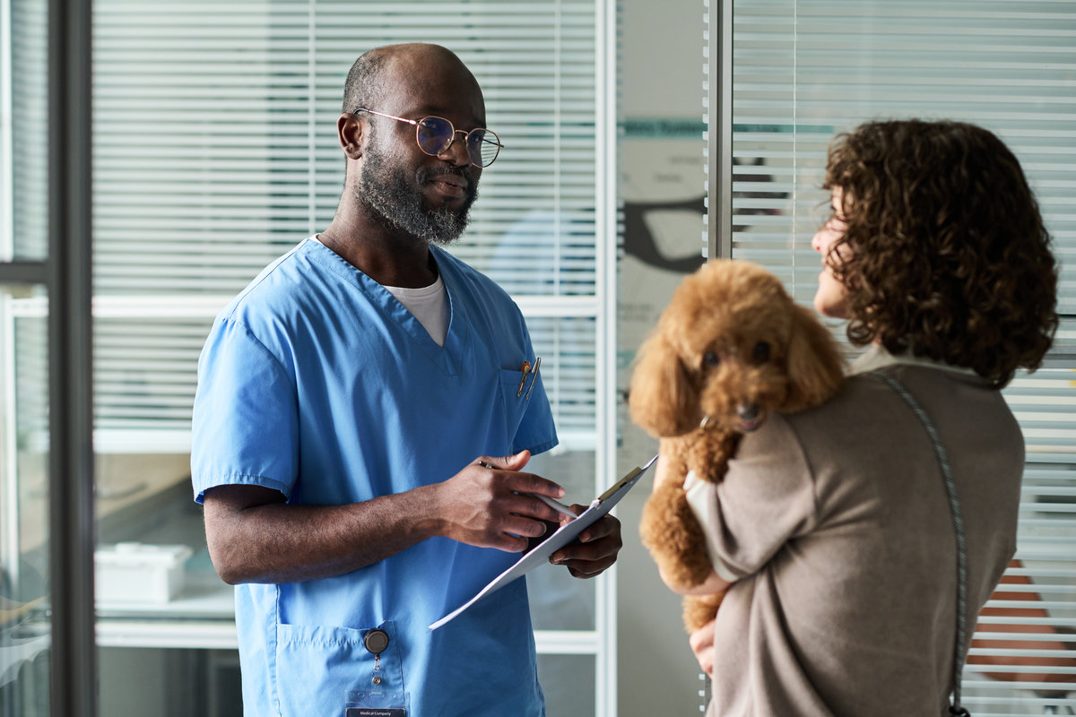 Medium shot of Black male veterinarian consulting female pet owner, holding clipboard while examining poodle in clinic. Ideal for veterinary care, pet health, animal service marketing